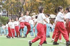 中国棒球协会推进体教融合项目